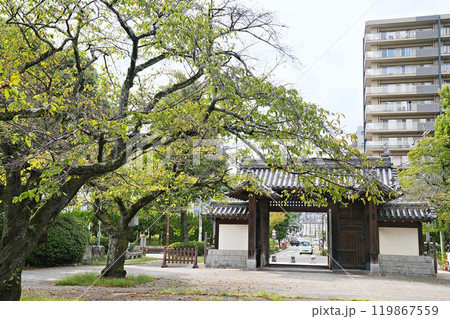 滋賀県 大津 本丸側から見た膳所城跡城門と膳所城跡の道(膳所城跡公園)(初秋) 滋賀県 大津 本丸側から見た膳所城跡城門と膳所城跡の道(膳所城跡公園)(初秋) 119867559