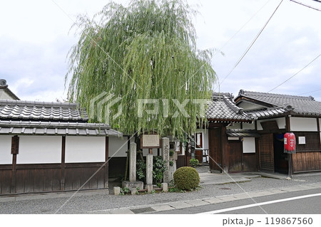 滋賀県 大津 義仲寺(初秋) 滋賀県 大津 義仲寺(初秋) 119867560