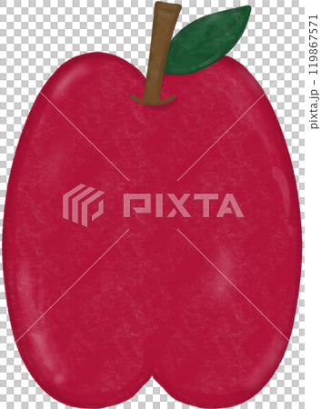 watercolor sketch of a apple 119867571