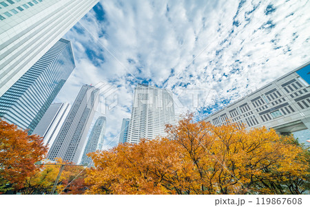 「東京都」西新宿ビル群の秋の風景・新宿 「東京都」西新宿ビル群の秋の風景・新宿 119867608