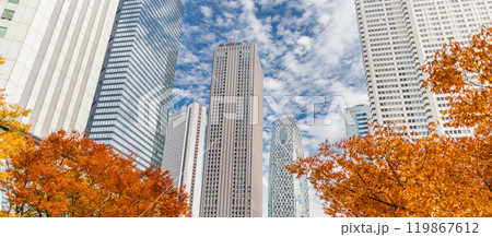 「東京都」西新宿ビル群の秋の風景・新宿 「東京都」西新宿ビル群の秋の風景・新宿 119867612