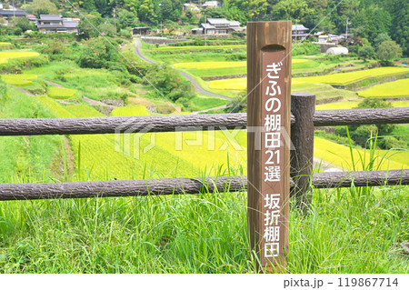 【坂折棚田】 岐阜県恵那市中野方町 119867714