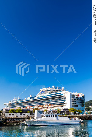 長崎港客船入港（Diamond Princess）水辺の森公園【長崎市】 119867877