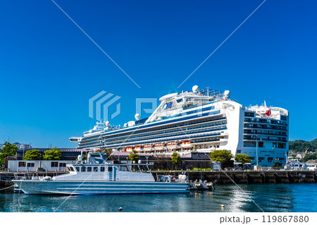 長崎港客船入港(Diamond Princess)水辺の森公園【長崎市】 長崎港客船入港(Diamond Princess)水辺の森公園【長崎市】 119867880