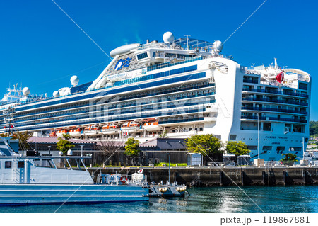 長崎港客船入港（Diamond Princess）水辺の森公園【長崎市】 119867881
