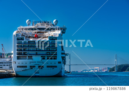 長崎港客船入港（Diamond Princess）水辺の森公園【長崎市】 119867886