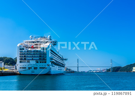 長崎港客船入港（Diamond Princess）水辺の森公園【長崎市】 119867891