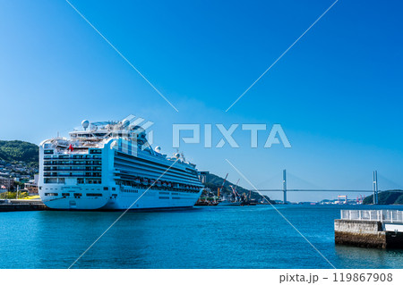 長崎港客船入港（Diamond Princess）水辺の森公園【長崎市】 119867908