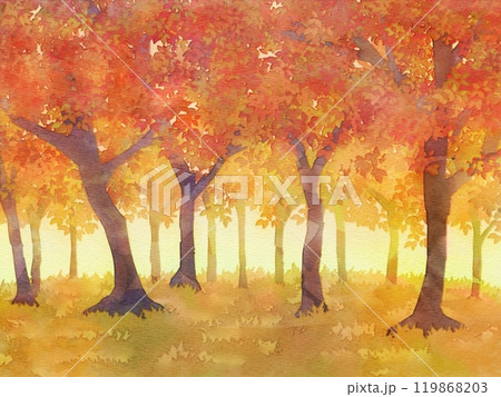 紅葉の森 水彩風 風景イラスト 秋 のイラスト素材 [119868203] - PIXTA