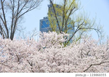 ビルに囲まれた都市風景 ビルに囲まれた都市風景 119868355