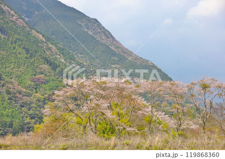 山の中にある山 119868360