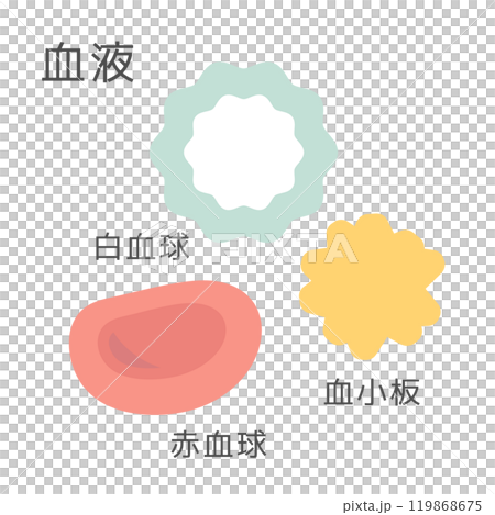 血白血球紅血球血小板圖 119868675