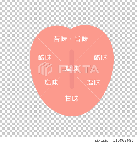 舌頭味覺分佈圖示 119868680