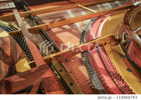 浜松楽器博物館 常設展示楽器 浜松楽器博物館 常設展示楽器 119868765