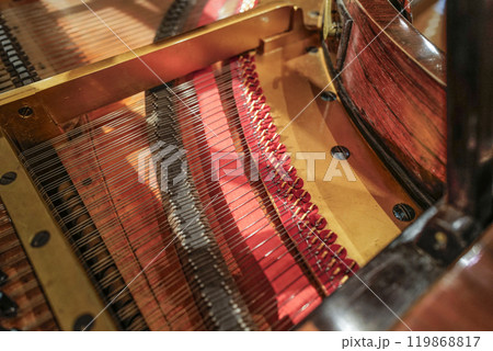 浜松楽器博物館　常設展示楽器 119868817