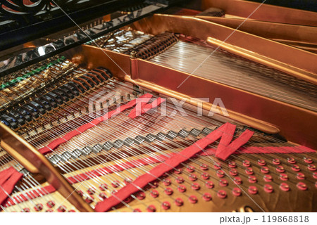 浜松楽器博物館　常設展示楽器 119868818