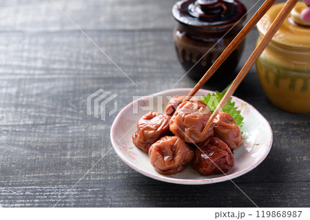 紀州南高梅 しそ漬け梅干 紀州南高梅 しそ漬け梅干 119868987