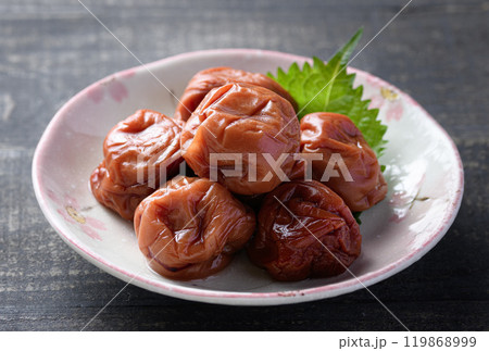 紀州南高梅 しそ漬け梅干 119868999