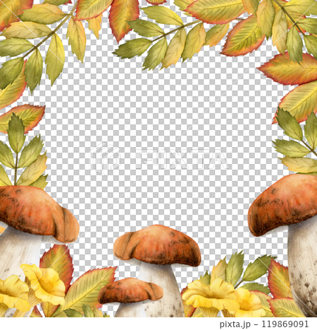 Porcini brown mushrooms and chanterelles with fall rowan leaves in orange and green colors square frame template isolated on white. Forest edible boletus fungus. Hand drawn woodland botanical sketch 119869091
