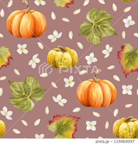 Fall pumpkins vegetables with green leaves and white hydrangea flowers watercolor seamless pattern on pastel pink. Hand drawn autumn harvest background for Thanksgiving day celebration and textile Fall pumpkins vegetables with green leaves and white hydrangea flowers watercolor seamless pattern on pastel pink. Hand drawn autumn harvest background for Thanksgiving day celebration and textile 119869097