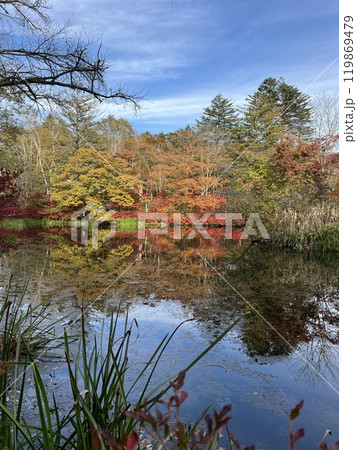 池の周りの紅葉風景 池の周りの紅葉風景 119869479