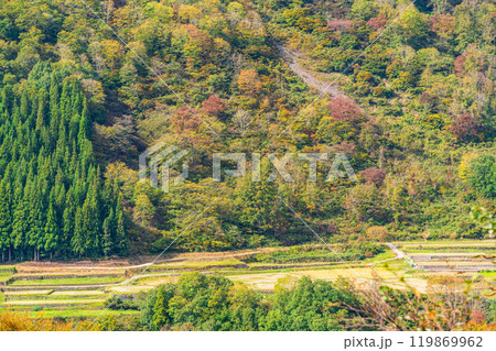 【新潟県】秋の秋山郷・東秋山林道から望む結東の石垣田 119869962