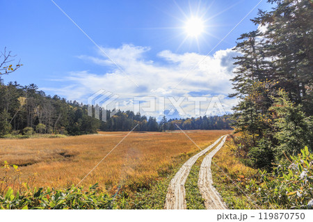 秋の尾瀬　草紅葉と森の紅葉　沼山峠〜尾瀬沼 119870750