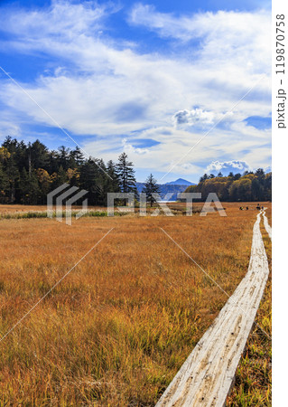 秋の尾瀬 草紅葉と森の紅葉 沼山峠〜尾瀬沼 秋の尾瀬 草紅葉と森の紅葉 沼山峠〜尾瀬沼 119870758