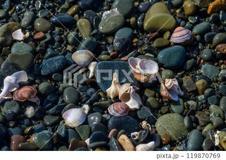 Summer vibes with seashells, starfish, against a backdrop 119870769