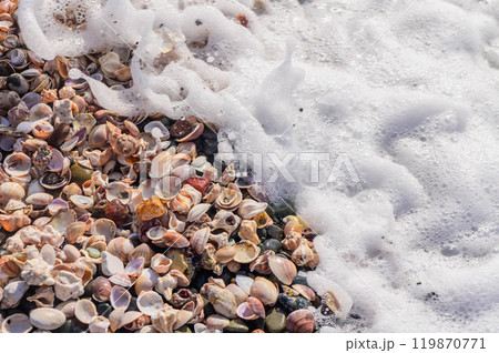 Beautiful summer background with seashell on the sandy beach and blue sea, sunny day. 119870771