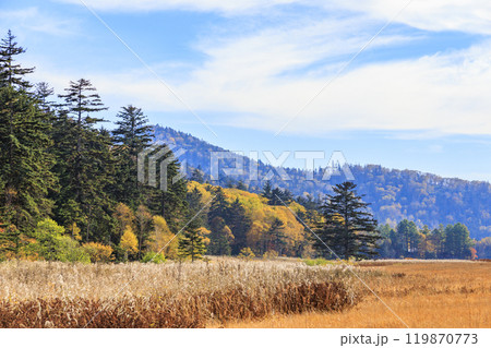 秋の尾瀬 草紅葉と森の紅葉 沼山峠〜尾瀬沼 秋の尾瀬 草紅葉と森の紅葉 沼山峠〜尾瀬沼 119870773