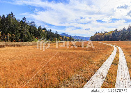秋の尾瀬　草紅葉と森の紅葉　沼山峠〜尾瀬沼 119870775