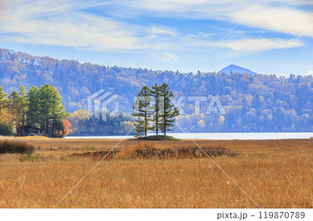 秋の尾瀬　草紅葉と森の紅葉　沼山峠〜尾瀬沼 119870789