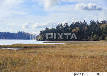 秋の尾瀬 草紅葉と森の紅葉 沼山峠〜尾瀬沼 秋の尾瀬 草紅葉と森の紅葉 沼山峠〜尾瀬沼 119870798