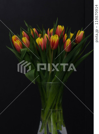 Bright bouquet of red tulips on a black background Bright bouquet of red tulips on a black background 119870914