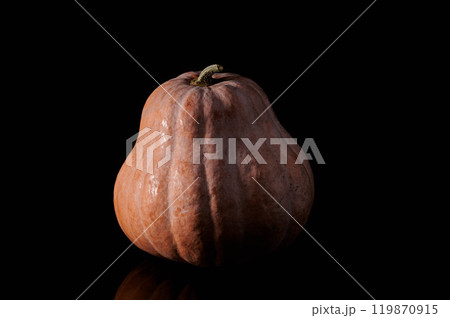 orange pumpkin on black background orange pumpkin on black background 119870915