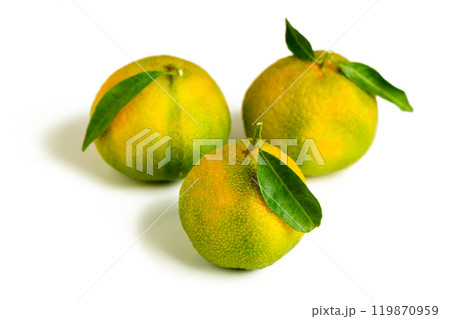 Tangerine orange fruit with green leaves isolated on white background Tangerine orange fruit with green leaves isolated on white background 119870959