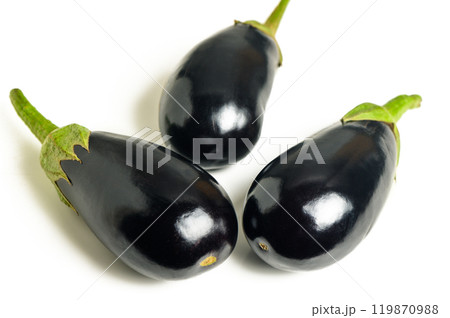 Eggplants are isolated on a white background. 119870988