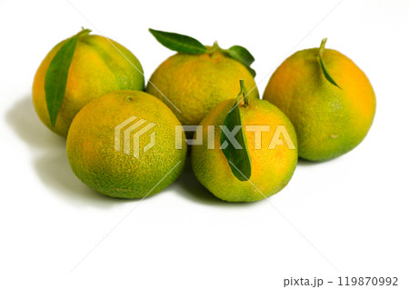 Green tangerine on a white background Green tangerine on a white background 119870992