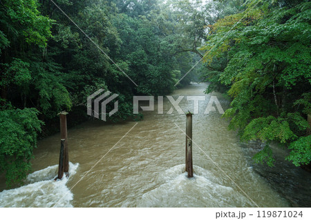 増水した島路川と木除杭 増水した島路川と木除杭 119871024