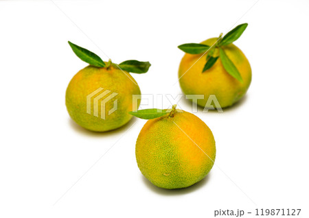 Three yellow-green mandarins stacked in a pyramid shape isolated on a white background. 119871127