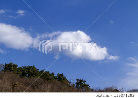 青空と雲 青空と雲 119871292