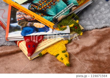 Cozy Afternoon With Handcrafted Bookmarks Peeking From Colorful Books on a Soft Blanket 119871564