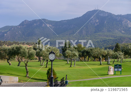 A serene morning view of a golf course surrounded by olive trees and majestic mountains in the background, capturing nature\'s tranquility 119871565