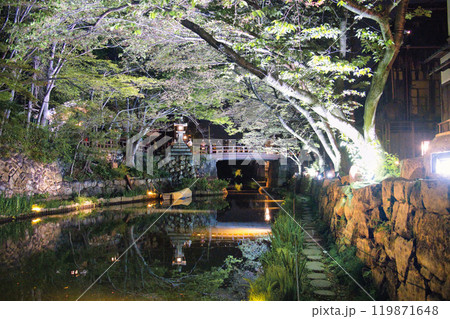 八幡堀夜景 119871648