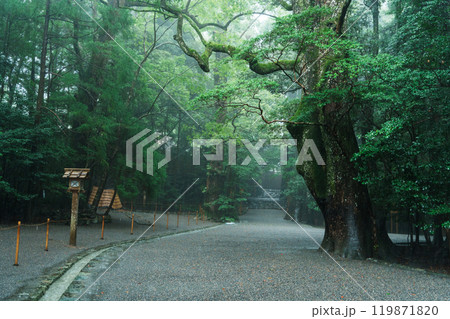 雨の伊勢神宮　内宮の参道 119871820