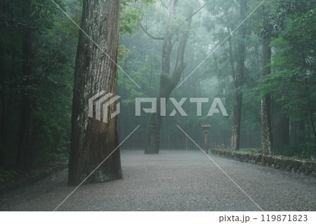 霧に包まれる伊勢神宮の参道 119871823