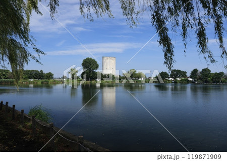 配水タンクの見える群馬県館林市の近藤沼の風景 119871909