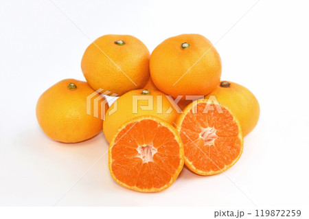 みかん（にしおかみかん） 119872259