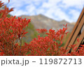 紅葉の葉と山岳 119872713